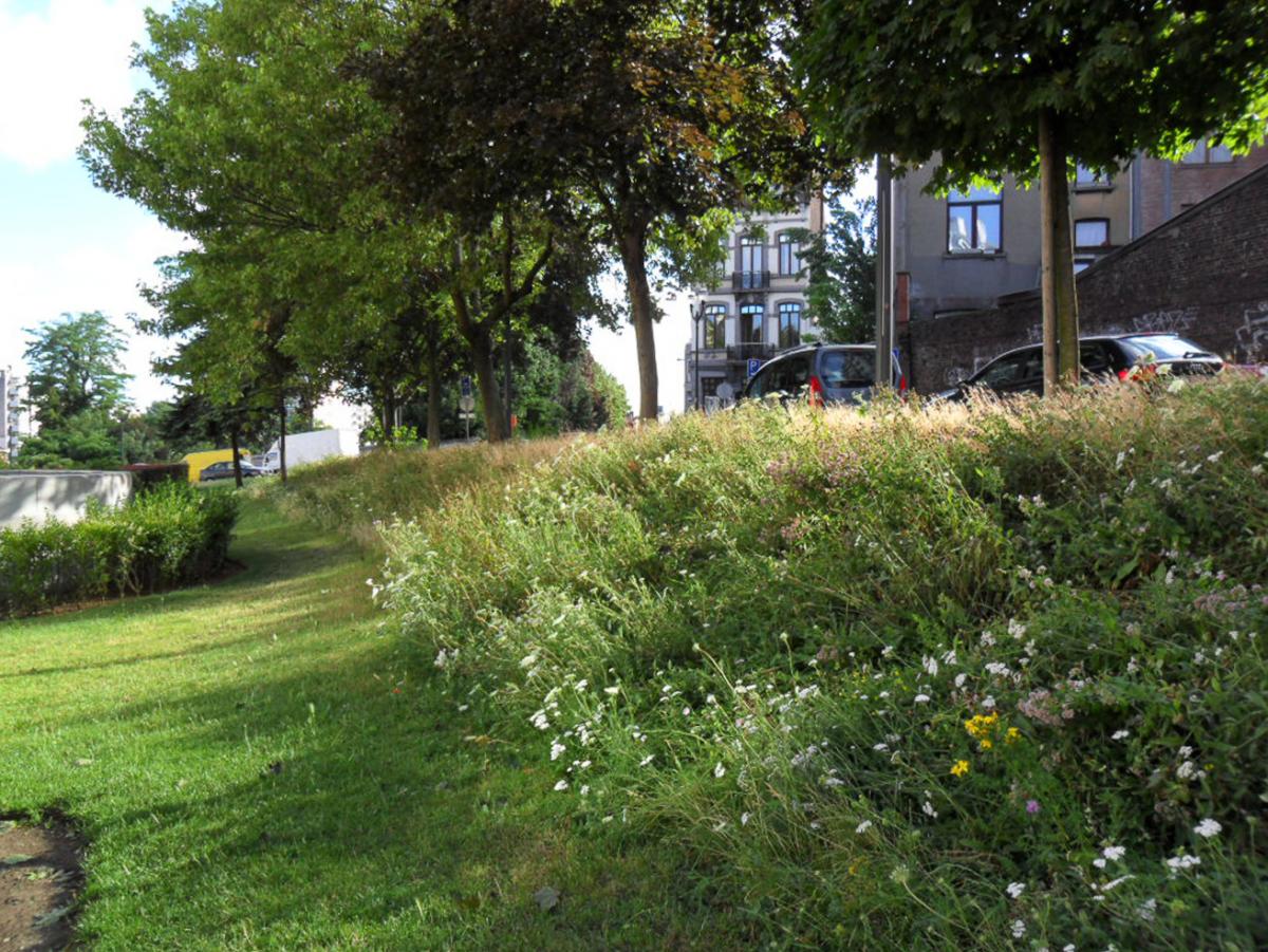 pré fleuri - avenue Deschanel