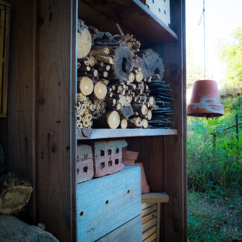 nichoir à insectes