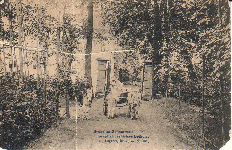 ânes - rue Josaphat