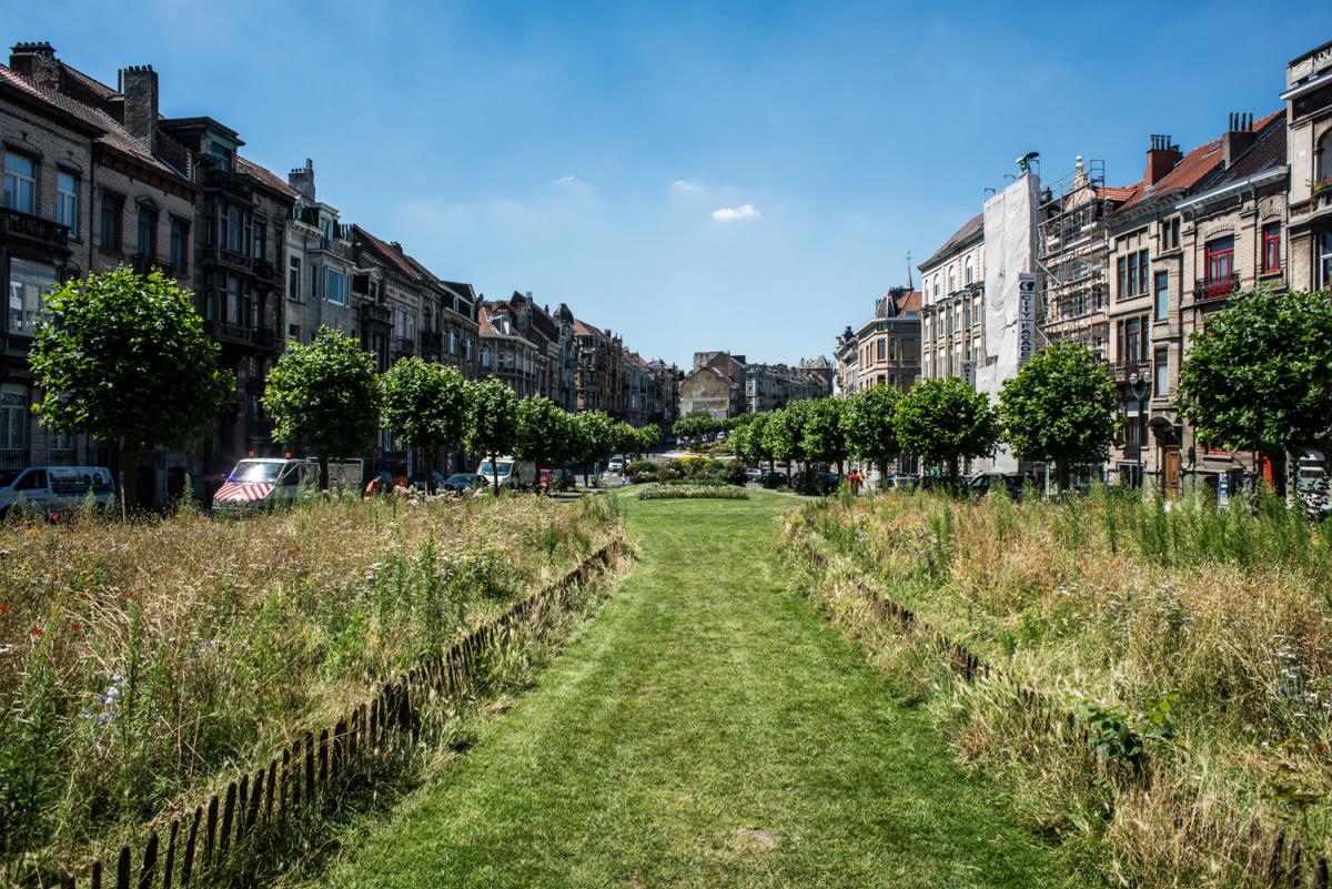 pré fleuri - avenue Louis Bertrand