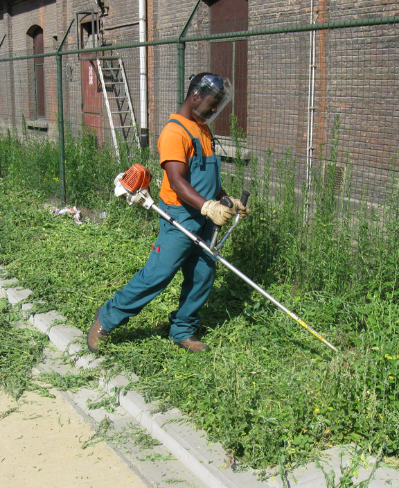 désherbage sans pesticide