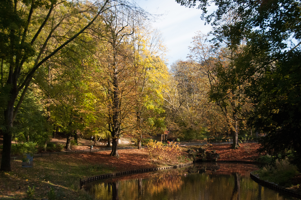 étang parc Josaphat