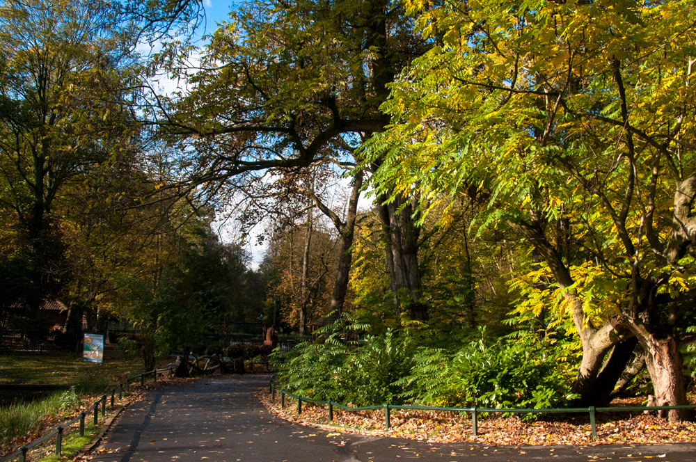 parc Josaphat en automne