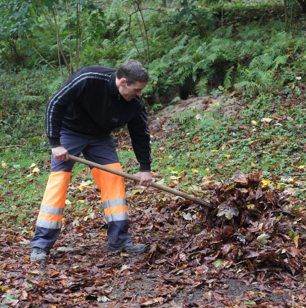 ramassage feuilles mortes